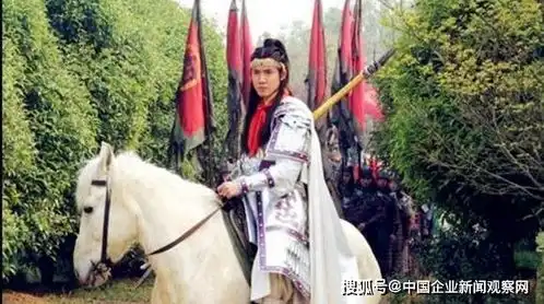 罗家将之克星毒箭诛罗艺,万箭射罗成,布巧计欲除罗通
