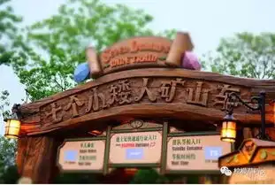 上海迪士尼最接地气旅游攻略
