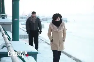 白日焰火桂纶镁神演技飚出高票房
