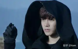 如何评价侯明昊新剧人不彪悍枉少年
