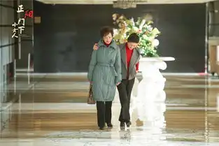 正阳门下小女人重播蒋雯丽田海蓉上演冤家姐妹情