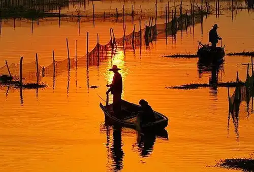 高铁半小时即达这座离嘉定不算远的小城,带你梦回江南旧时光