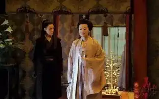 刷屏的咏梅,你了解吗