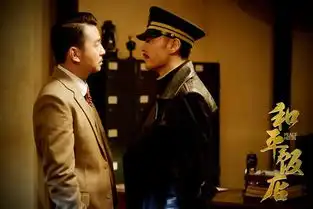 和平饭店问鼎谍战剧王雷佳音被踢哭
