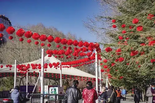 大红灯笼高高挂浓浓年味扑面来