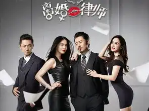 离婚律师剧照律政