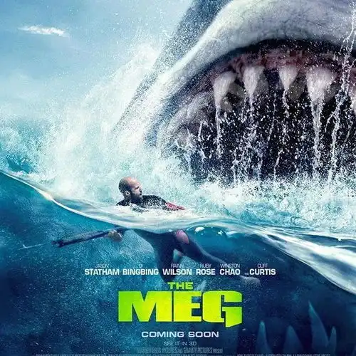 杰森斯坦森世界上最帅的光头大开鲨戒,这个奔50岁的男人,丝毫不显老,自律的男人太可怕了电影
