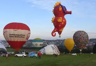德国举行国际热气球大赛现实版飞屋环游记
