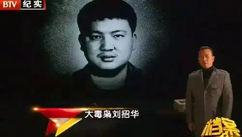 中国版绝命毒师化学天才刘招华制毒案我要整一个反向鸦片战争