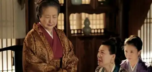 知否王老太太又不是没有儿子,为什么会偏心康姨母这一个女儿