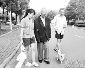 武汉版忠犬八公守护痴呆爹爹趴病床前感动网友