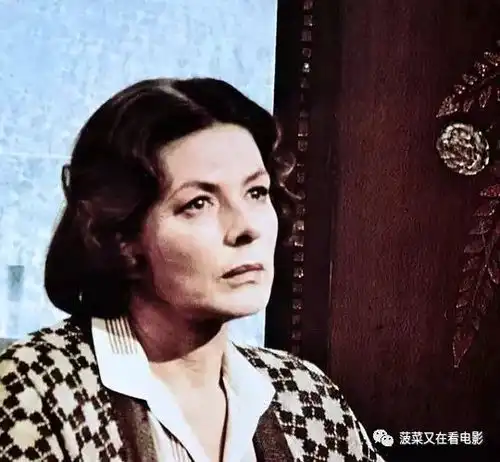 如何对比东方快车谋杀案2017年与1974年版本之间的区别