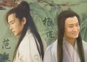 金庸武侠倚天屠龙记中,杨逍和范遥联手会怎么样