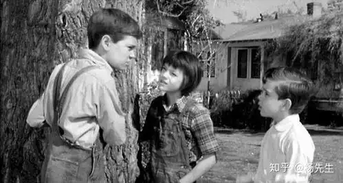 杀死一只知更鸟
