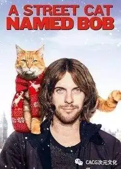一只猫的使命流浪猫鲍勃