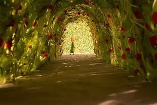 他是70后的炸酱面80后的初恋
