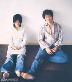 何以笙箫默以琛钟汉良青葱旧照耀眼的小太阳