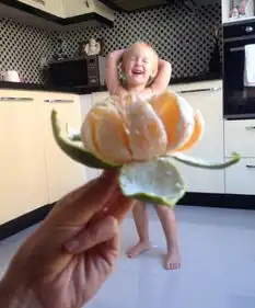 妈妈的朋友剧照蔬菜水果