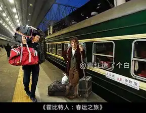 如果史泰龙和施瓦辛格也来赶中国的春运
