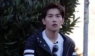 鹿晗杨洋领衔火爆各大真人秀的小鲜肉们