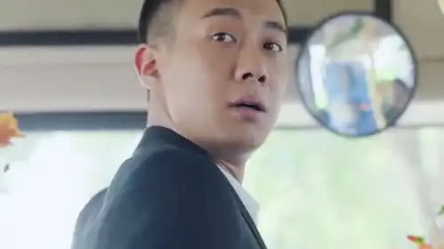 这又是谁家黑月光小城故事多张佳宁高至霆
