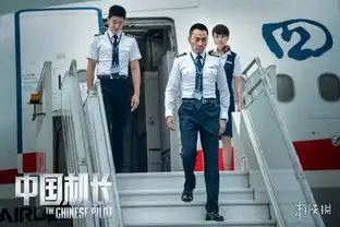 献礼建国70周年的中国故事中国机长亮相戛纳国际电影节发布最新剧照
