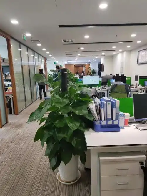 望京soho精装修带家具临近地铁采光通透配套齐全出租办公楼租赁北京我爱我家