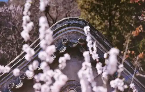 君子要怎么做,才能追到淑女