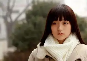 我想重新遇见你1000个前任故事