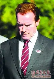 施瓦辛格承认私生子10多年前与女佣发生婚外情