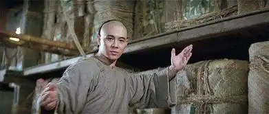 李连杰电影经典对战片段,和赵文卓最有看点
