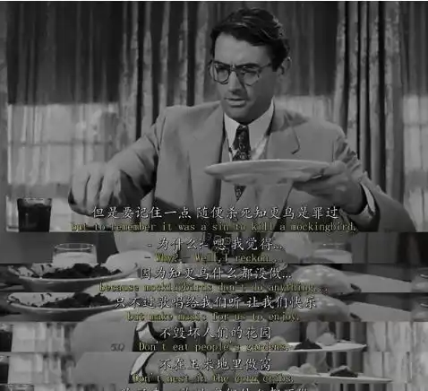 杀死一只知更鸟就是一桩罪恶,这桩罪恶却被社会规则支配了
