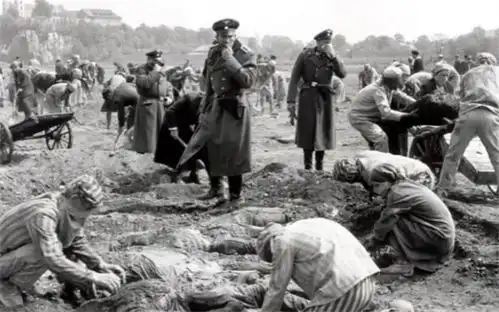 1932年,32个国家对犹太人关上大门,何凤山却为他们发生命签证