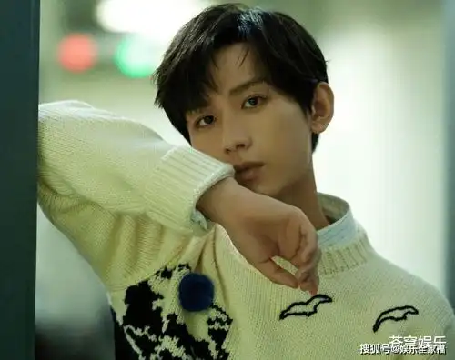 陈情令导演操刀天官赐福网曝成毅与另一男主二搭,有望大爆
