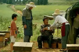 落叶归根精彩剧照欣赏146