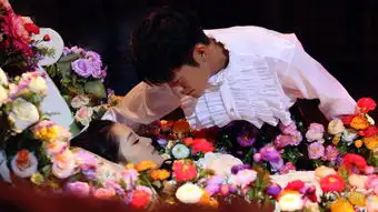 花开半夏林申李沁张嘉倪杨洋马晓灿阚清子多角恋
