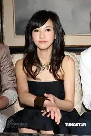 痞子英雄记者会陈意涵
