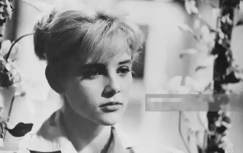 14岁成名34岁息影,一生经历5次婚姻,73岁去世上了热搜
