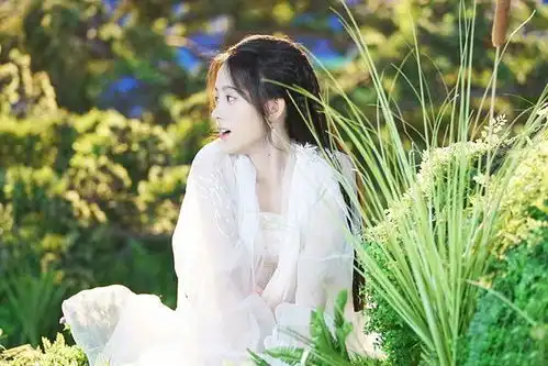 看了新版新白娘子传奇,连倚天屠龙记都忍不住笑了