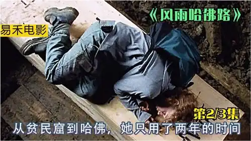 献给奋斗的你,感动全美,励志经典风雨哈佛路