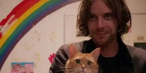 猫咪能听懂自己的名字吗