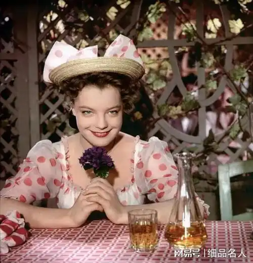 阿兰德龙去世他命运坎坷,情感混乱,晚年遭受双重折磨
