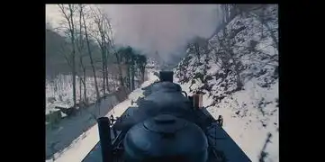 如何从专业角度评价布达佩斯大饭店的画面构图及色彩运用
