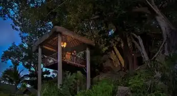 treetopsskydining仲夏之餐厅,圆你树屋梦
