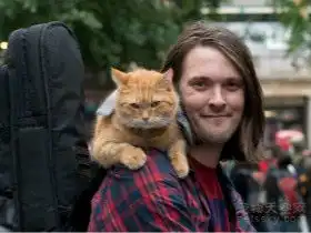 流浪猫改变街头卖唱者命运的故事已经被拍成了一部电影