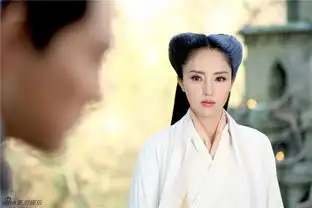 组图董璇神雕白衣素雅亮气质脱俗
