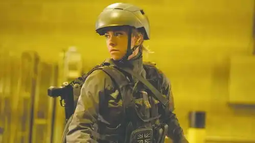 速激系列首部外传速度与激情特别行动