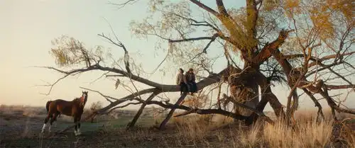 我的阿勒泰播完了,再看它的改编策略
