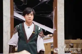 明星大侦探薛之谦打哈欠犯困何炅情绪失控落泪
