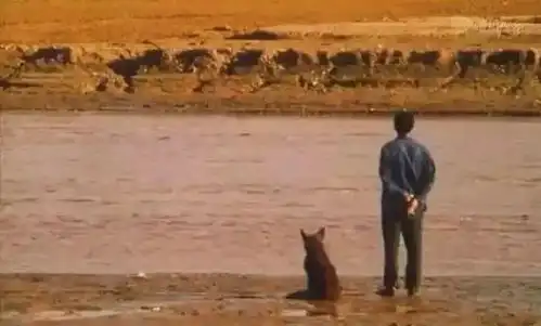 背起爸爸上学20年后如今那个孩子成了大学副教授